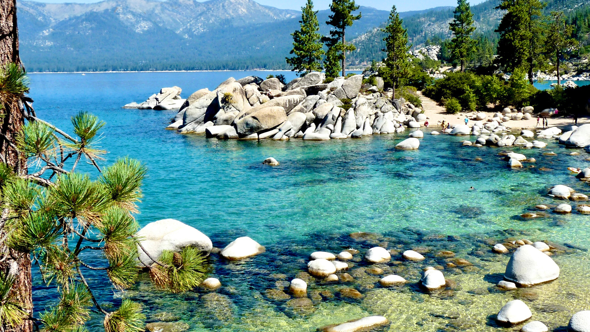 Home Page CAN Image 6208 X 4139