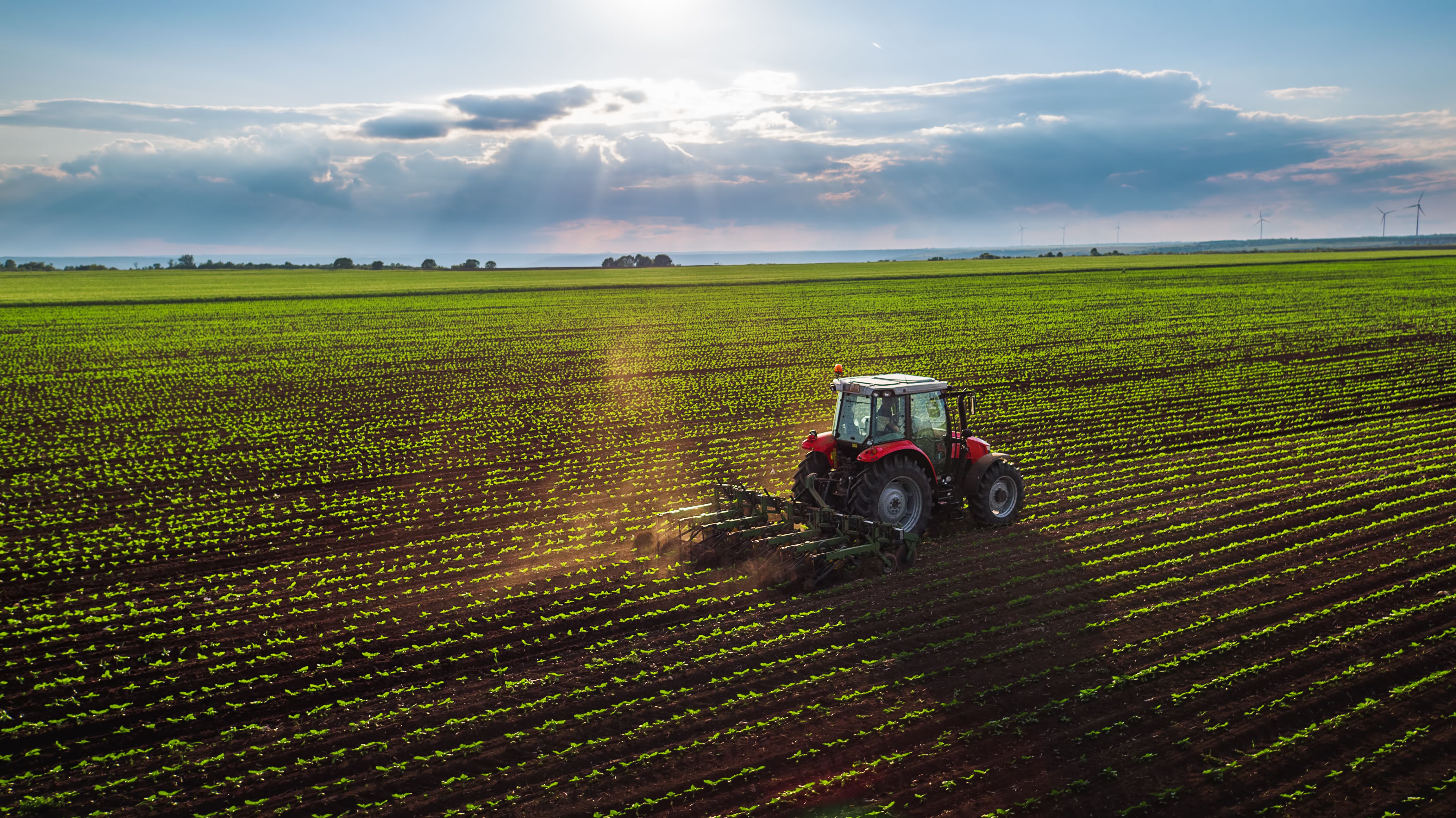 Agribusiness Captives
